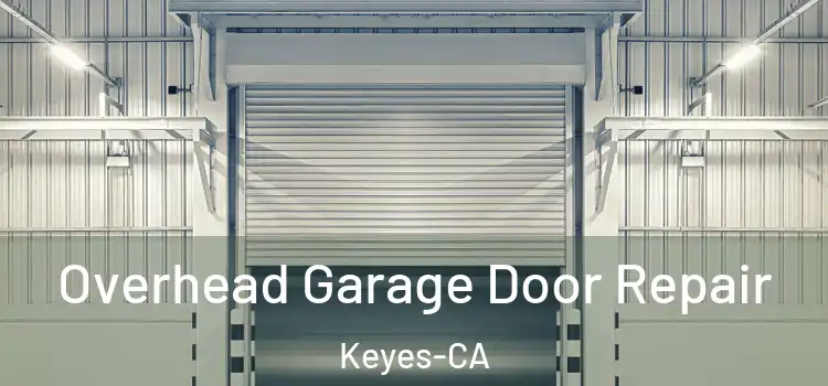  Overhead Garage Door Repair Keyes-CA